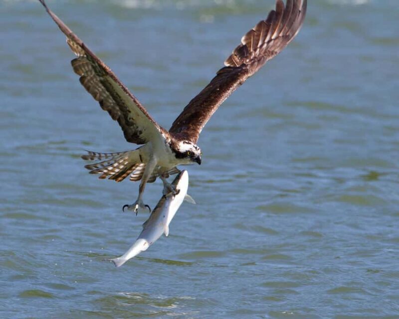 Gold Beach, Oregon: Historic Mail Route Jet Boat Tour - Frequently Asked Questions