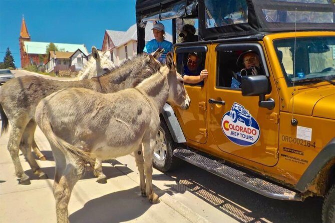 Gold Belt Scenic Byway Jeep Tour from Cañon City - Final Thoughts