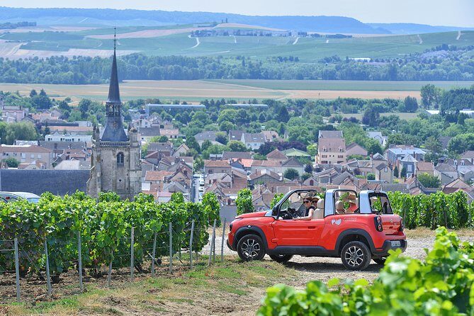 Gold Champagne Experience from Epernay (Private Full day tour) - The Food and Drink