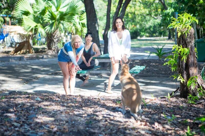 Gold Coast: 1.5-Hour Jet Ski Safari to Stradbroke Island - Key Points