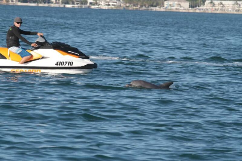 Gold Coast: 30 min Jet Ski Hire - No Slow Zones - Key Points