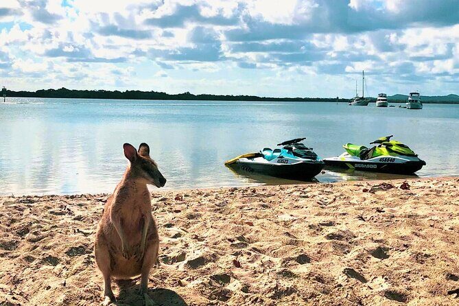 Gold Coast 30 Minute Jetski Tour in Surfers Paradise - What You Can Expect from Your Jetski Adventure