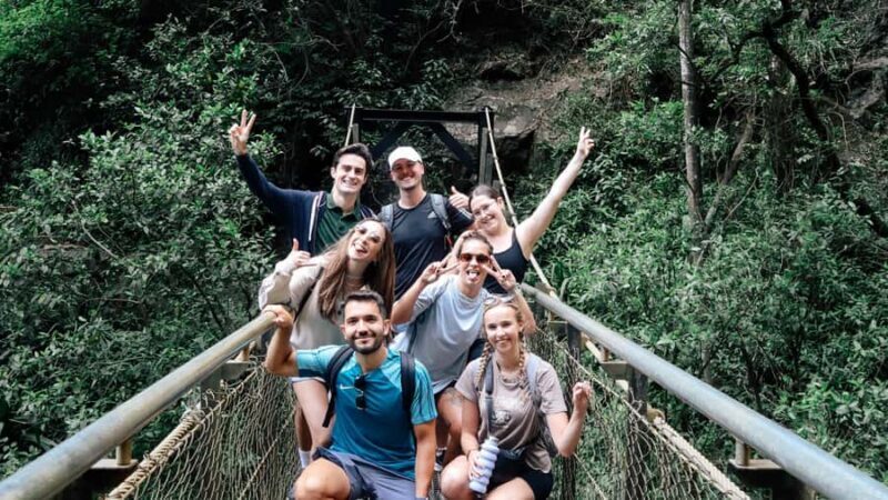 Gold Coast: 6 Waterfalls, Koalas & Natural Bridge Day Tour - Why This Tour Stands Out