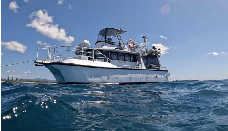 Gold Coast: Cook Island Marine Reserve Scuba Experience Dive - What the Reviews Say