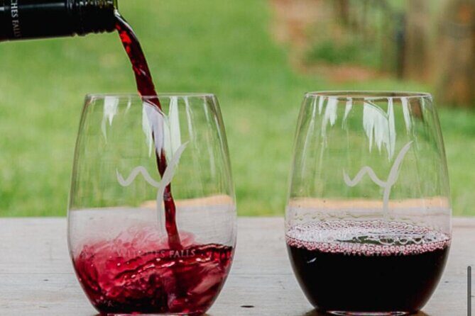 Gold Coast: Glow Worms, Sunset & Stargazing with BBQ dinner - Who Will Love This Tour?