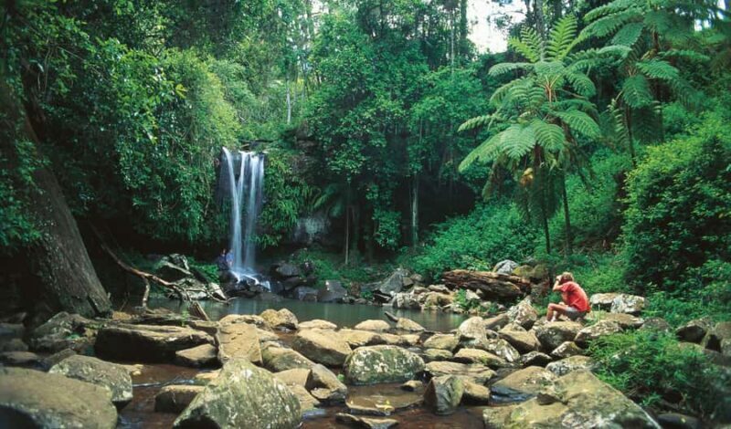 Gold Coast: Hop on Hop off Bus to Tamborine Mountain - Summary and Who Will Love This Tour