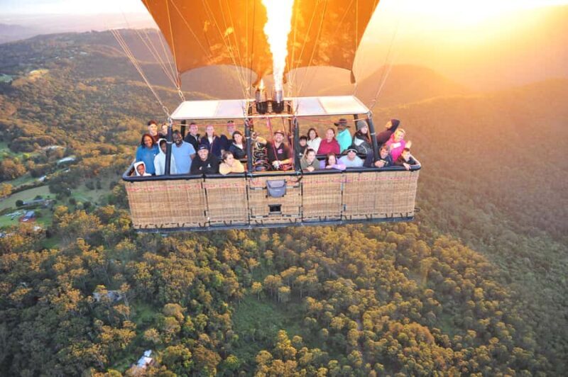 Gold Coast: Hot Air Balloon Flight with Buffet Breakfast - Key Points