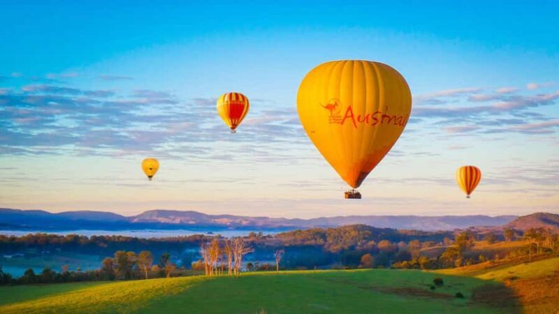 Gold Coast: Hot Air Balloon Flight+Vineyard Breakfast+Alpaca - An Introduction to the Tour: Peaceful Flights and Tasty Delights