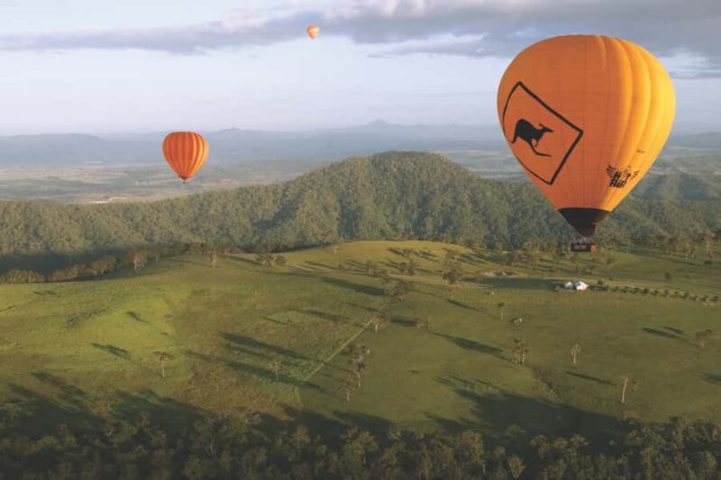 Gold Coast: Hot Air Balloon Flight+Vineyard Breakfast+Alpaca - Practical Details and What It Means for You
