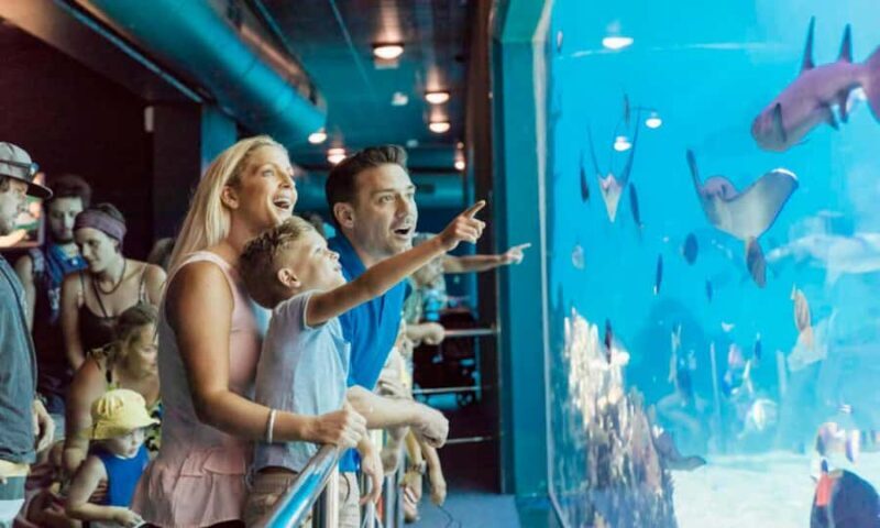 Gold Coast: Jet Boat Ride & Sea World Entry Ticket - What to Expect at This Gold Coast Experience