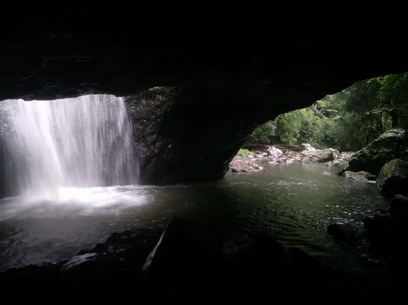 Gold Coast: Kangaroos, Rainforest & Waterfalls Experience - Who Will Love This Tour?