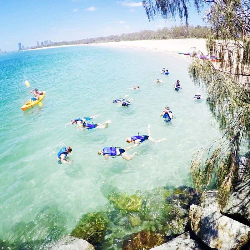 Gold Coast: Kayaking and Snorkeling Guided Tour - An In-Depth Look at the Gold Coast Kayaking and Snorkeling Tour