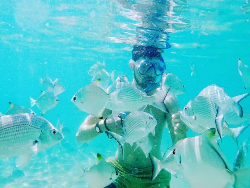 Gold Coast: Kayaking and Snorkeling Guided Tour - Who Will Love This Tour?