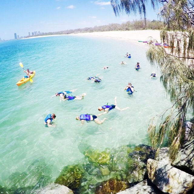 Gold Coast: Kayaking and Snorkeling Guided Tour - FAQ