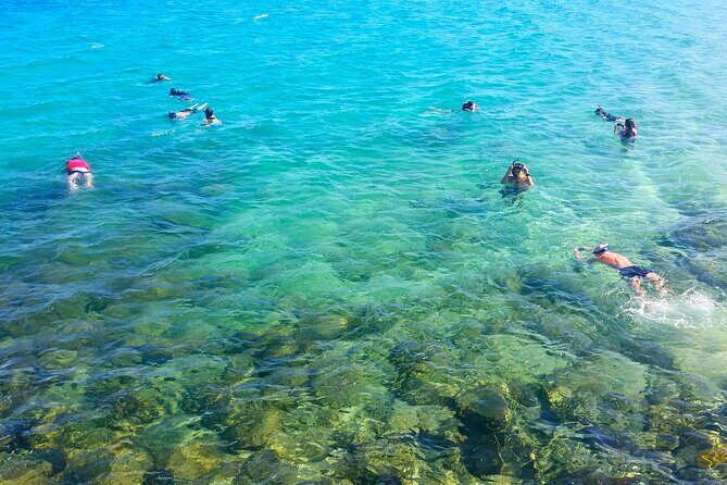 Gold Coast Kayaking & Snorkelling Tour (2.5 Hours) - What to Expect from Your Gold Coast Kayaking & Snorkeling Adventure