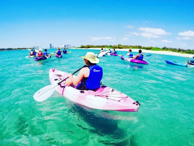Gold Coast: Kayaking & Snorkelling Tour with Fish Feeding - An In-Depth Look at the Experience