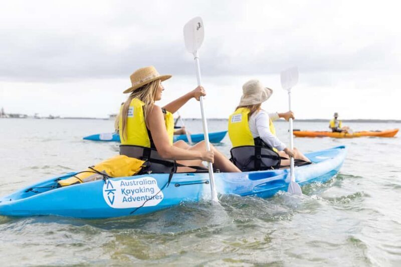Gold Coast: Kayaking & Snorkelling Tour with Fish Feeding - The Sum Up