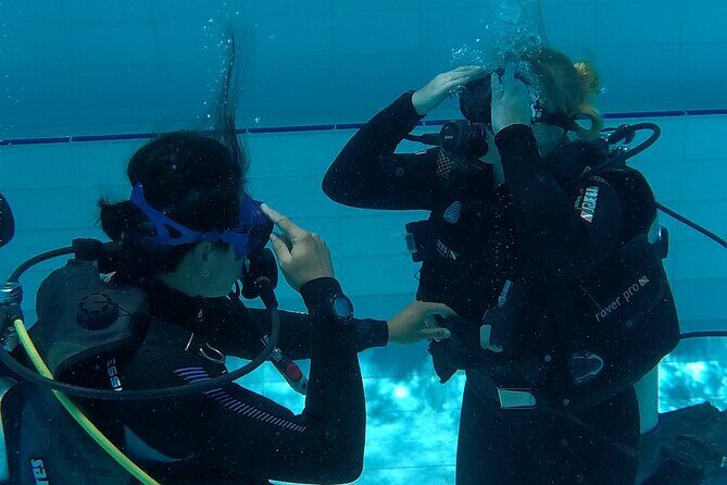 Gold Coast Learn to Dive  Open Water Certification Course - Why This Course Offers Great Value
