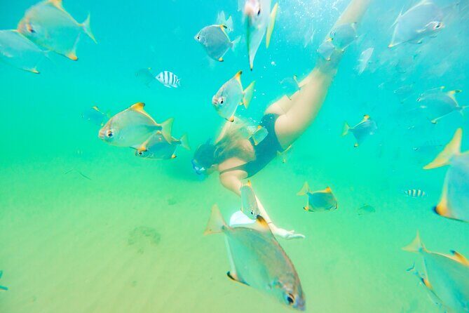 Gold Coast: Morning Kayak & Snorkel Adventure with Breakfast - An In-Depth Look at the Gold Coast Kayaking & Snorkeling Tour