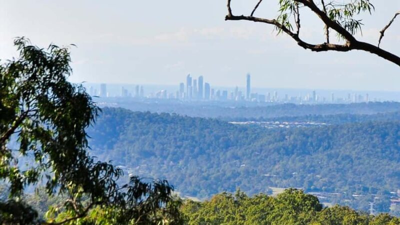 Gold Coast: Mount Tamborine Kangaroo and Koala Day Tour - What’s Included & Practical Details
