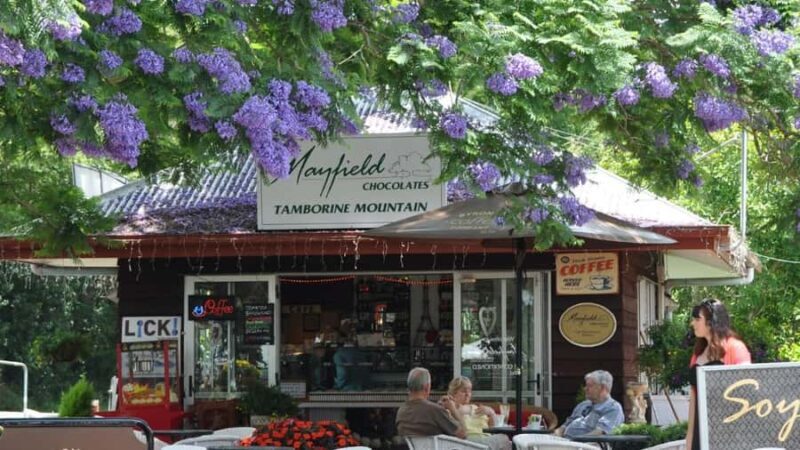 Gold Coast: Mount Tamborine Kangaroo and Koala Day Tour - Authentic Experiences That Make This Tour Stand Out