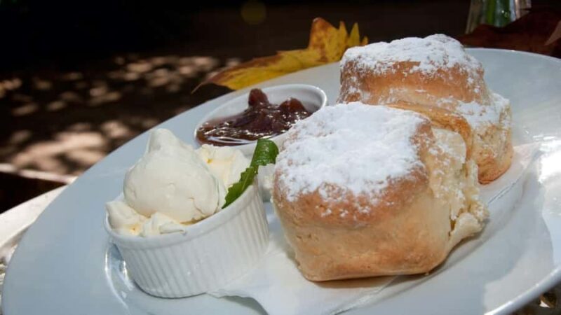 Gold Coast: Mount Tamborine Kangaroo and Koala Day Tour - Frequently Asked Questions