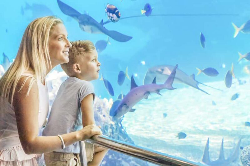 Gold Coast: Movie World, Sea World & Wet'n'Wild 7-Day Pass - Key Points