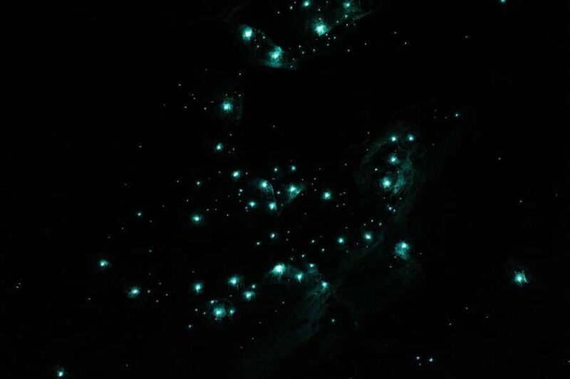 Gold Coast: Natural Bridge Glow Worm Night Tour - FAQs