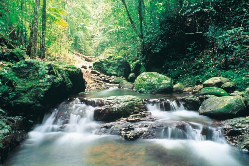 Gold Coast: Natural Bridge Glow Worm Night Tour - Final Thoughts