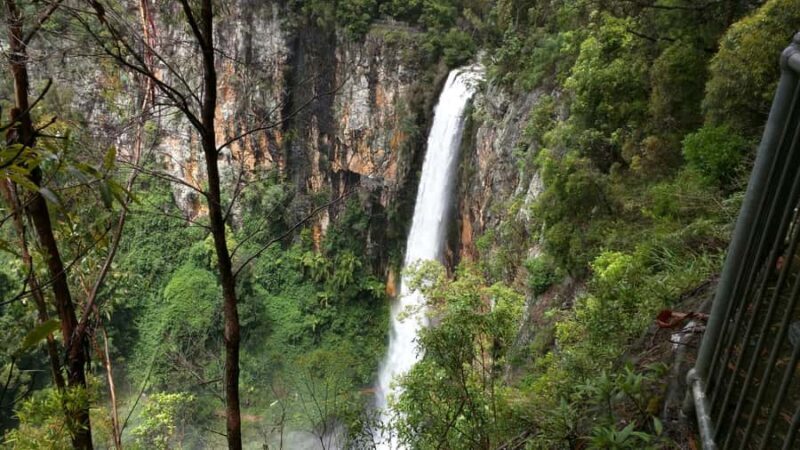 Gold Coast: Natural Bridge & Springbrook Waterfalls Tour - An Overview of the Tour Experience