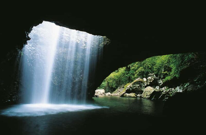 Gold Coast: Natural Bridge & Springbrook Waterfalls Tour - What Makes This Tour Stand Out
