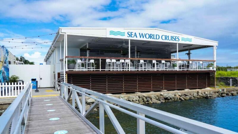 Gold Coast: Premium Whale Watching Cruise - FAQs