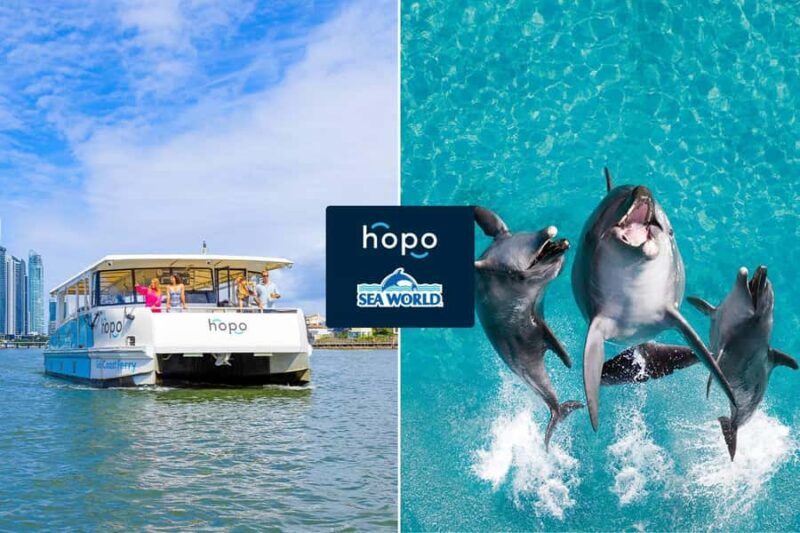 Gold Coast: Sea World Cruise & Entry Combo Ticket - The Value of This Tour