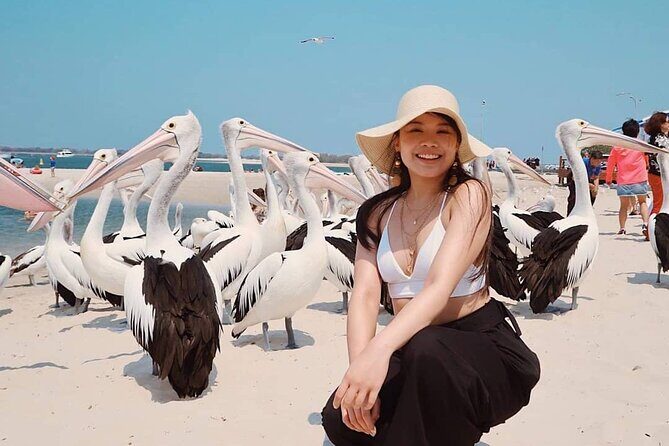 Gold Coast Surfer's Paradise Private Tour from Brisbane - Key Points