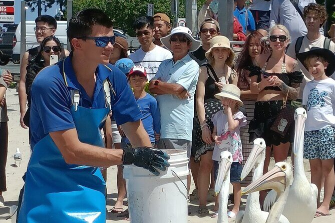 Gold Coast Surfer's Paradise Private Tour from Brisbane - Who Is This Tour Best For?