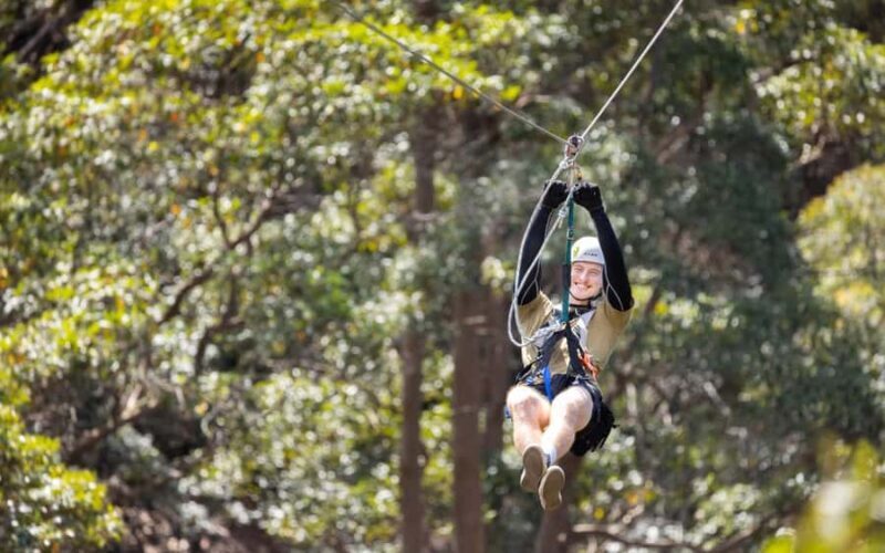 Gold Coast: Tamborine Mountain Canyon Flyer Zipline Tour - Who Should Consider This Tour?