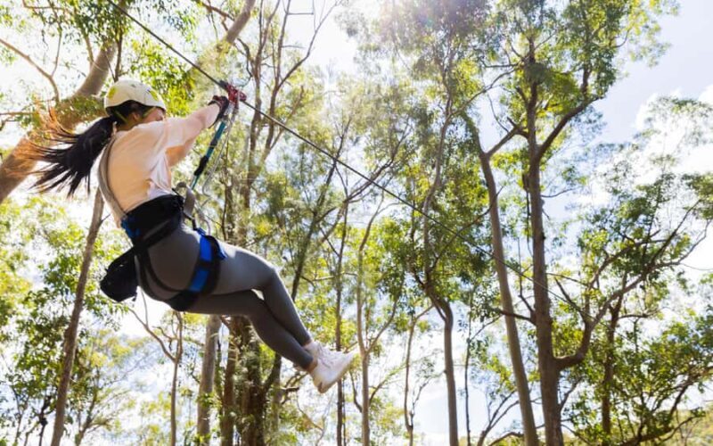 Gold Coast: Tamborine Mountain Canyon Flyer Zipline Tour - The Sum Up