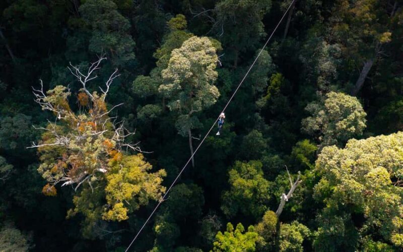 Gold Coast: Tamborine Mountain Canyon Flyer Zipline Tour - FAQ