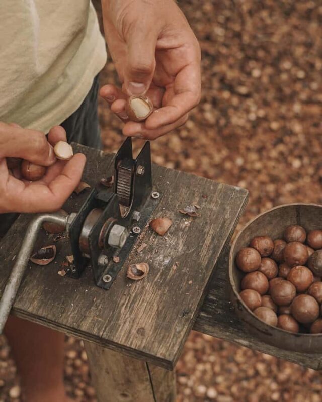 Gold Coast: Tropical Fruit World Full Farm Tour - Key Points