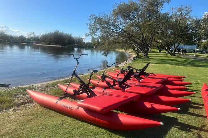 Gold Coast Waterbike Adventure - What the Reviews Say