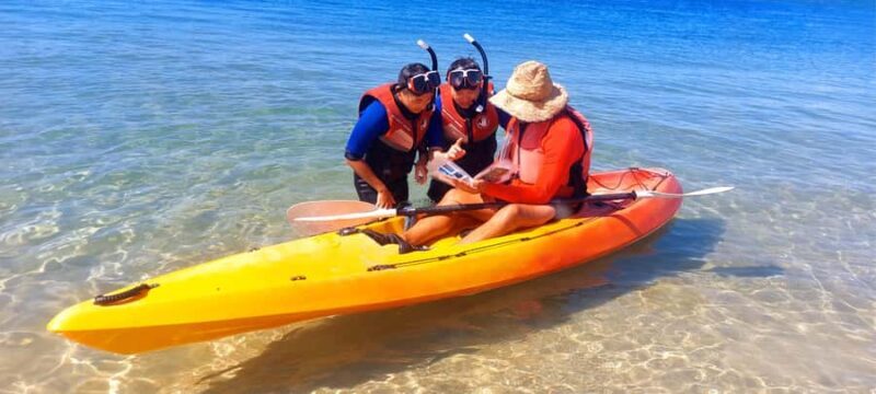 Gold Coast: Wave Break Island Kayaking & Snorkeling tour - Who Will Love This Tour?