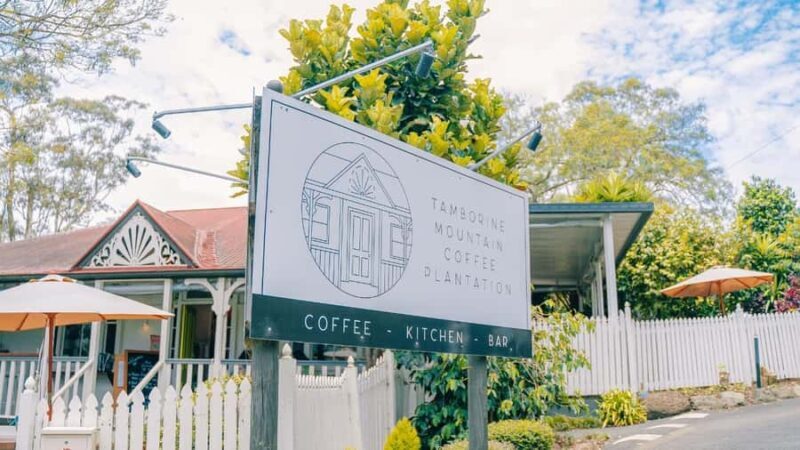 Gold Coast: Wine, Distillery & Rainforest Day Tour - A Closer Look at the Gold Coast: Wine, Distillery & Rainforest Day Tour