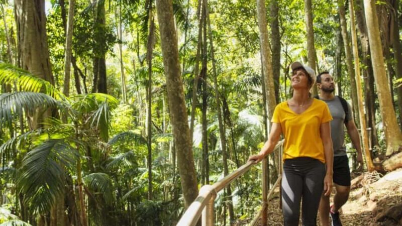 Gold Coast: Wine, Distillery & Rainforest Day Tour - Who Will Love This Tour?
