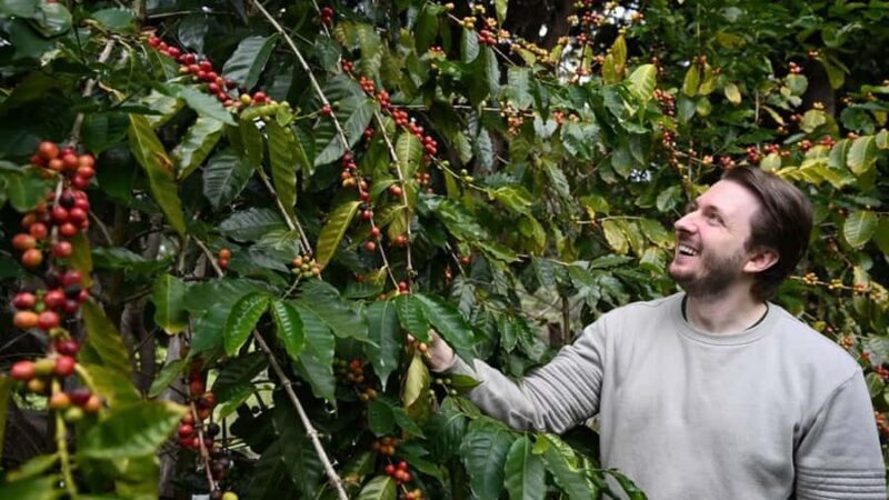 Gold Coast: Wine, Distillery & Rainforest Day Tour - FAQ