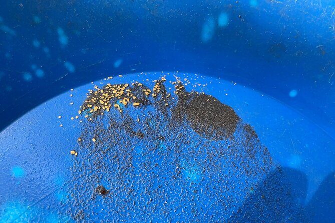Gold Panning Activity at Mission Creek - Discovering Gold at Mission Creek: A Hands-On Adventure in Kelowna