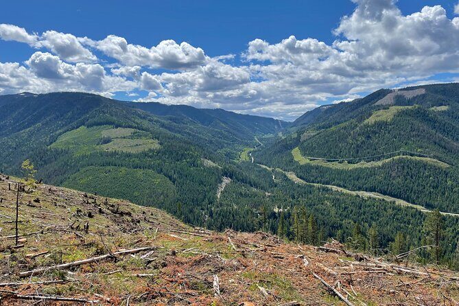 Gold Panning Activity at Mission Creek - The Practicalities: What You Need to Know