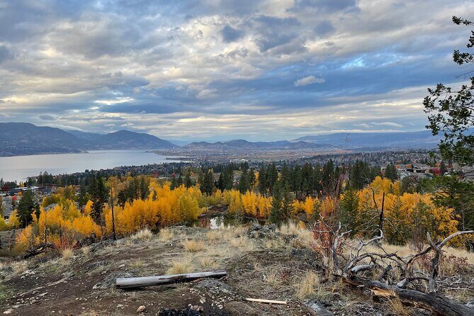 Gold Panning Activity at Mission Creek - Authentic and Insightful: What Previous Participants Say