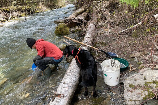 Gold Panning Activity at Mission Creek - The Sum Up: Is It Worth It?