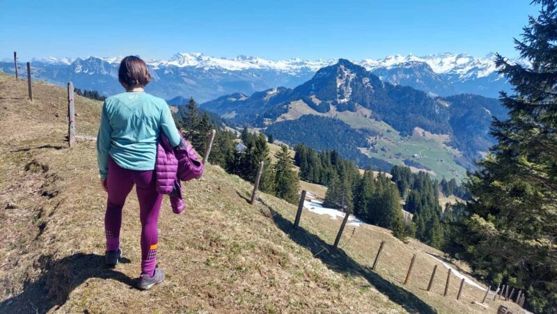 Goldau: Mount Rigi Guided Walk with BBQ Lunch - A Closer Look at the Tour Experience