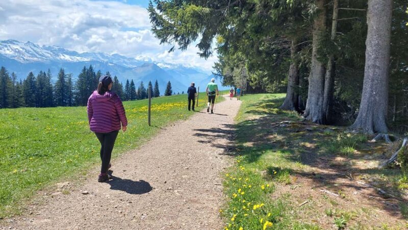 Goldau: Mount Rigi Guided Walk with BBQ Lunch - Final Thoughts: Who Should Sign Up?